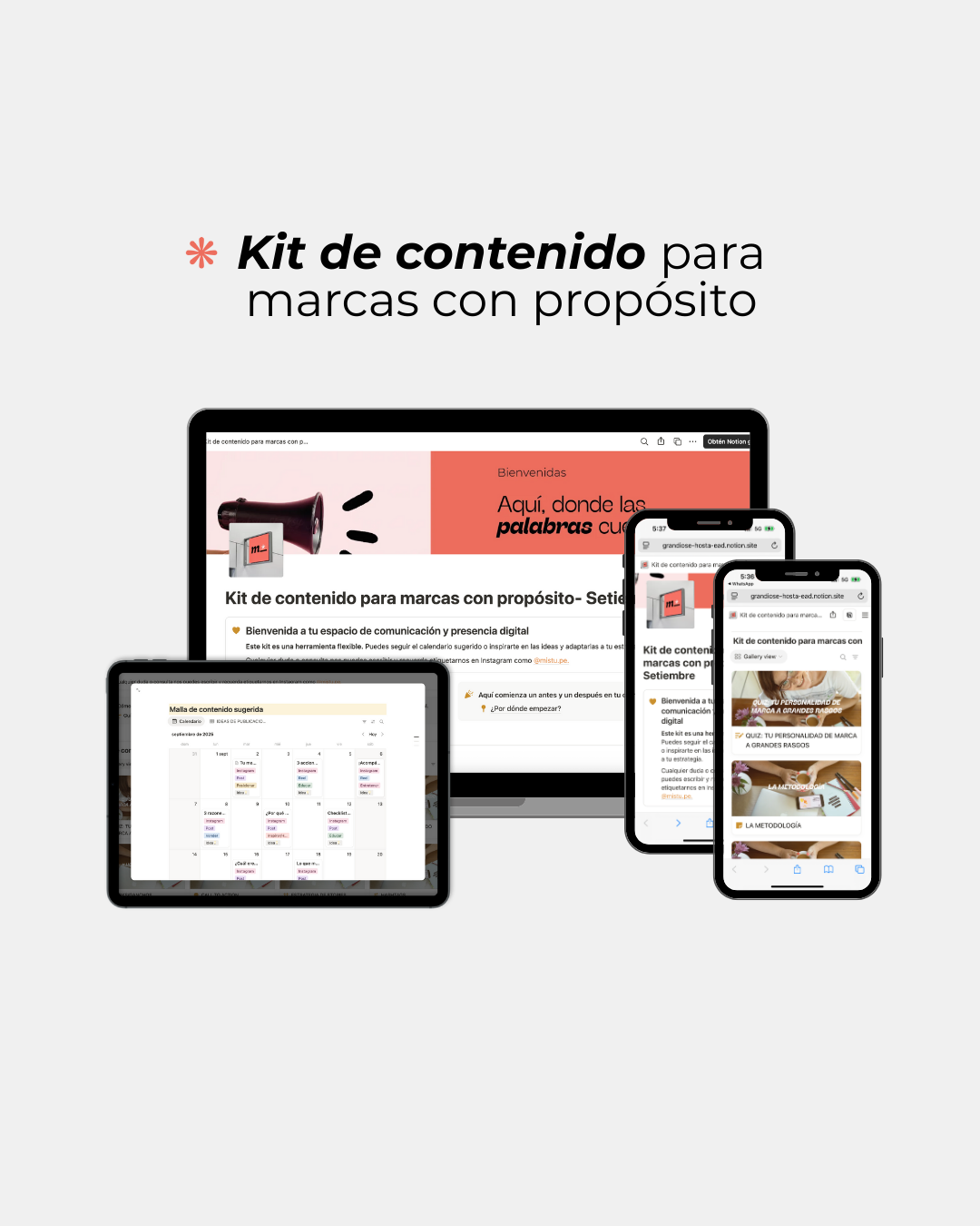 KIT de contenido por 3 meses